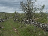 F, Lozere, Hures-la-Parade, Nivoliers 12, Saxifraga-Willem van Kruijsbergen